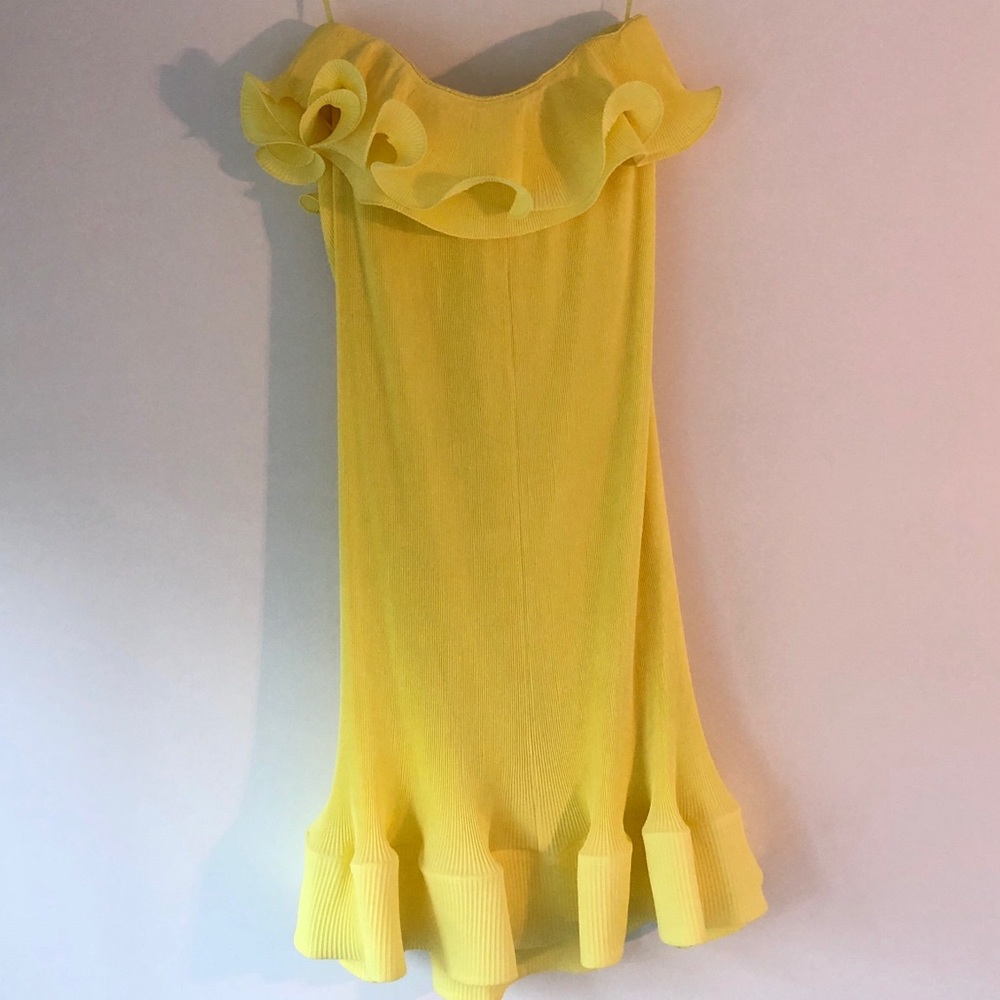 Tibi Strapless Pleated Ruffle Dress